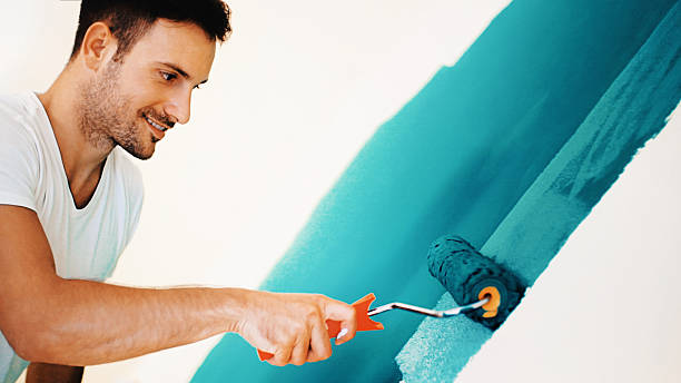 Trusted Hawthorn Woods, IL Dry wall and painting Experts